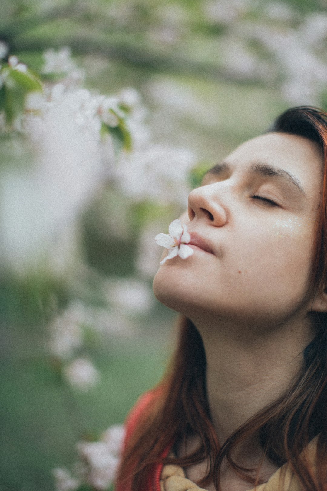 Acupuncture for Seasonal Allergies in Great Neck, NY: Natural Hay Fever Relief for Queens & Long Island