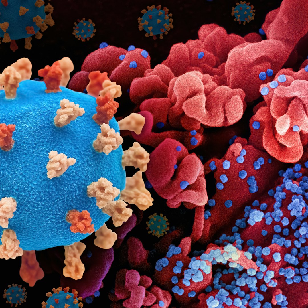 春天总觉得状态不稳？中医为什么重视季节转换时的身体调整